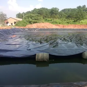 공장 가격 HDPE 안감/댐 라이너/hdpe geomembrane 수영장 라이너