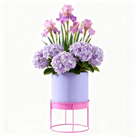 Décor de jardin moderne extérieur intérieur maison empilable fer enduit de poudre supports de plantes écologiques assortis jardinières ensembles de pots de fleurs