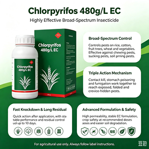 Pesticida Agroquímico Clorpirifos 480g/L EC para Eliminación de Insectos - Product Image 3