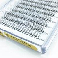 DRAGPNLASH Spitz zulaufende vorgefertigte Hybrid Light Volume Wimpernverlängerungs-Fächer 10D mit kurzem Stiel 0.07 Tray Handgemacht CC/DD 12 Reihen Superweich