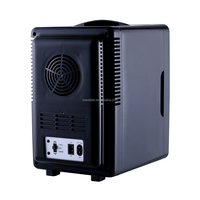 Mini-réfrigérateur portable 6L, glacière électrique, petit congélateur pour la maison, la voiture, le dortoir, l'usage étudiant, en plastique