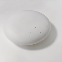 Mini taşınabilir akıllı ev amplifikatör alıcı çok odası Wifi HIFI Airplay ses akışı müzik flama WiFi 2.4 & 5G, Airplay