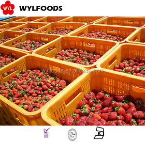 Morangos IQF Congelados a granel de qualidade premium Morangos naturais doces Congelados ideais para importadores e distribuidores - Product Image 6