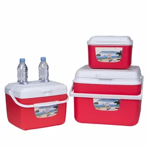 Kunden spezifische Promotion tragbare Kunststoff Eis kiste Kühlbox für Camping