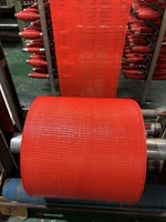 Herbruikbare geventileerde op maat gemaakte groothandels PP-mesh zakken met trekkoord (5kg, 10kg, 25kg, 50kg) voor uien, knoflook, aardappelen en andere producten.