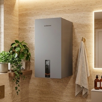 Chauffe-eau à gaz Loburton pour hôpitaux et cliniques, 99 kW, réservoir en acier inoxydable, chauffe-eau commercial et domestique au gaz naturel