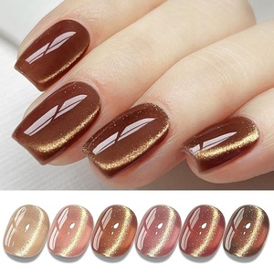 Cat Eye <b>Gel</b> Polish Set Shimmer Glitter with Magnet Holographic Reflective Magnetic UV Nail Art <b>Kit</b> - Product Image 1
