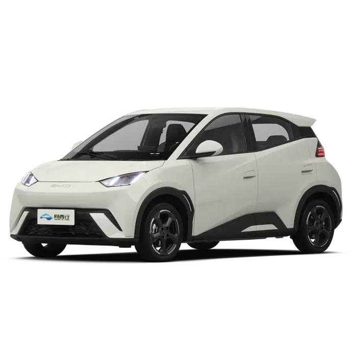 Wholesale 2024 New New Energy Vehicles Long Range Electric Car High Speed Automobile For Byd Seagull Motor