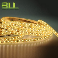 SMD2835 120LED IP65 DC12 Volt 3000K blanco cálido solo color inteligente Flex Led Strip Light