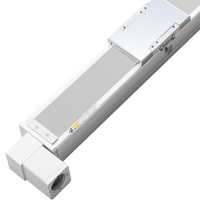 Actuador Lineal Personalizado MSTM100 con Motor de Rodamiento, Guía Lineal de Alta Precisión, Estructura Antipolvo, Material de Aluminio