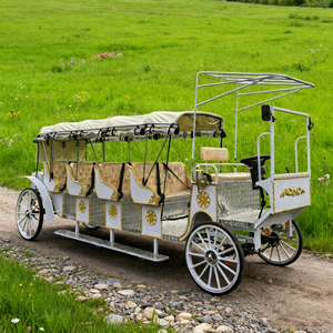 Carruaje de Calabaza Princesa Real de Cuatro Filas Económico/Carruaje de Boda Cenicienta/Carruaje Eléctrico Turístico en Venta - Product Image 1