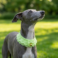 Collier personnalisé de luxe populaire pour chien et chat, design classique, couleurs mélangées, en coton et acrylique, confortable, collection automne, fabriqué par le producteur