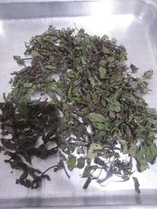 Poudre de menthe verte séchée de haute qualité usine exportation directe fermes supervisées traitement des matières premières épices et herbes vente mondiale - Product Image 5