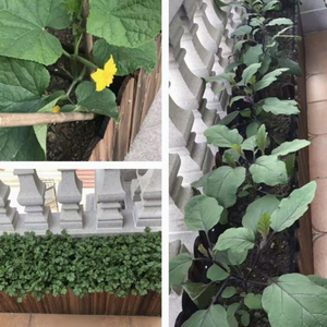 <span class=keywords><strong>Jardinière</strong></span> rectangulaire en bois traité anticorrosion, style pastoral, <span class=keywords><strong>pour</strong></span> jardin, <span class=keywords><strong>balcon</strong></span>, légumes et plantes succulentes - Product Image 3