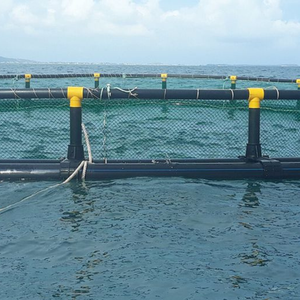 Vente Flash : Bassins Flottants Ronds en PEHD pour Élevage Piscicole, Fabriqués au Vietnam - Product Image 6