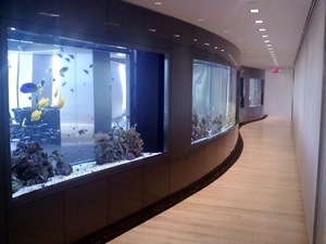 Arrecife LED acuario de agua salada 20 galones burbujas agua salada pecera acuarios accesorios acuario de agua salada - Product Image 6
