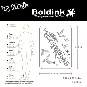 รอยสักน้ำหมึกจักกัวแบบกันน้ำ ติดทนนาน 2 สัปดาห์ ลายนกบินเหมือนจริง ยี่ห้อ Boldink Custom รุ่น Bendecido Body Art - Product Image 5