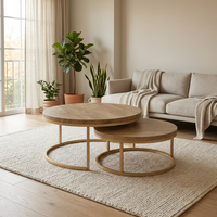Table basse 2-en-1 pour la maison, 20*20*1.0, en tube de fer thermolaqué, MDF stratifié 40mm avec décalcomanie, mobilier de salon