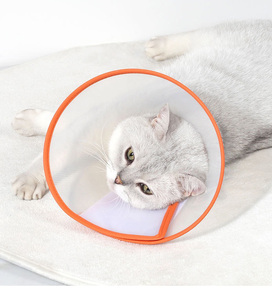 <span class=keywords><strong>Collar</strong></span> de cono de recuperación para mascotas antimordedura ajustable, <span class=keywords><strong>Collar</strong></span> isabelino para perros y gatos - Product Image 4
