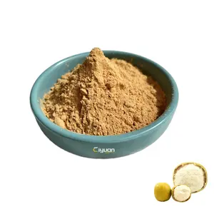 Ciyuan Factory Supplier 100% Pure Herb Sweetener Monk Fruit Extract Luo Han Guo 10:1 Powder