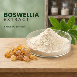 Extracto de Corteza de Boswellia Serrata en Polvo con Ácidos Boswellicos al 65% para Suplementos Dietéticos y Formulaciones Herbales - Product Image 3