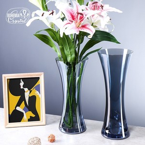 Bohemia Crystal <b>Vase</b> 82570 Slimming Modern Minimalist Hydroponic Flower <b>Vase</b> For Living Room Bedroom Decor - Product Image 1