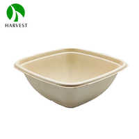 Boîte d'emballage alimentaire carrée 350ml 500ml, micro-ondable, étanche, anti-graisse, avec couvercle, en pulpe de bagasse écologique recyclable, vente en gros