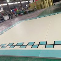 Tapis de sol d'entraînement portable et flexible en PVC vinyle avec logo personnalisé pour arts martiaux, MMA, BJJ, lutte, grappling, dojo