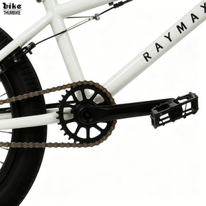 Vélo <span class=keywords><strong>BMX</strong></span> de course RAYMAX <span class=keywords><strong>20</strong></span> <span class=keywords><strong>pouces</strong></span>, cadre entièrement en chromoly, vitesse unique, frein TEKTRO U, roues en aluminium, pneus 20x2.40, moyeu 9T SAMOX - Product Image 5