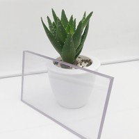 Plaque en polycarbonate insonorisante, panneau PC transparent résistant aux chocs pour application de barrière acoustique routière