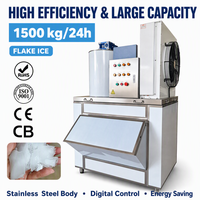 Machine à glace en flocons CE haute productivité pour usine, capacité 1t/jour, avec compresseur 220V, idéale pour l'industrie agroalimentaire