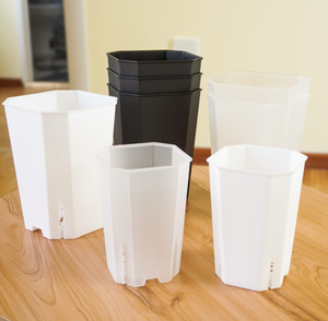 <span class=keywords><strong>Maceta</strong></span> transparente octogonal para observar el crecimiento de las plantas en blanco y negro - Product Image 5