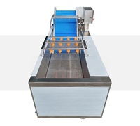 Commerciële roestvrijstalen automatische fruit-, groente- en maïsreinigingsmachine met drievoudige reinigingsproces, hoge druk, sterk.
