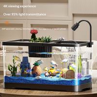 Aquarium carré tout-en-un en acrylique pour bureau à domicile, design paysager écologique, fonctionnement sans eau, oxygénation