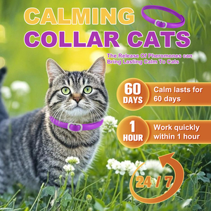 Collier apaisant pour chats et chiens, en PVC souple et solide, avec huile essentielle naturelle, réglable, vente chaude - Product Image 5