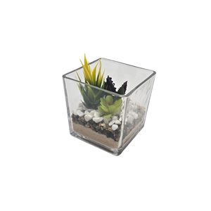 Vaso Quadrato in Vetro 12x12H cm per Piante Succulente, 3 Varianti di Vegetazione Artificiale - Product Image 5