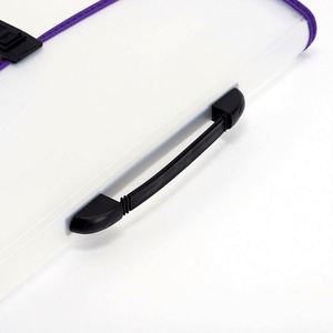 FC Large <b>Creative</b> Transparent Accordion Bag 13-Compartment Portable Snap-Closure Folder Student Exam Paper Storage Stock - Product Image 4