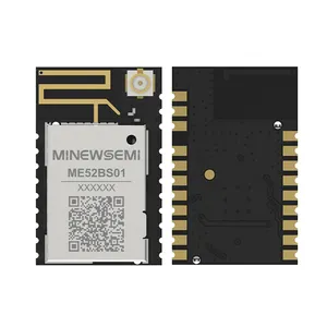 Minewsemi módulo Bluetooth 5,3 de bajo costo con antenas PCB + IPEX módulo BLE para control de luz inteligente Dispositivo portátil inteligente