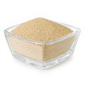 Poudre d'Isolat de Levure Protéinée Végétale 100% Pure de Haute Pureté Avancée pour la Fabrication d'Aliments Nutritionnels et de Compléments Alimentaires - Product Image 1