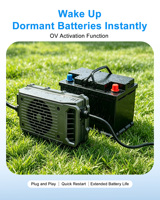 Chargeur de batterie LNLEE E-Kart 60V 20A 1500W haute puissance, chargeur haute performance pour Go Kart LLC, Hub PFC actif résonant