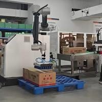 Robot palettiseur automatique collaboratif Machine à empiler Cobot Carton Case Bag Palettizer PLC Discount Price Robot Stacker Food