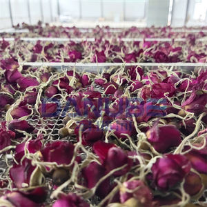 Four de traitement des assaisonnements à séchage automatique de haute qualité, modèle Rose Air Tray, très demandé - Product Image 2