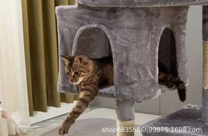 <span class=keywords><strong>คอน</strong></span><span class=keywords><strong>โด</strong></span>สัตว์เลี้ยงขนาดเล็กหอคอยต้นไม้สำหรับ<span class=keywords><strong>แมว</strong></span>ในร่ม - Product Image 6