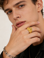 Bague Pixiu en argent sterling 925 plaqué or pour homme, style punk, personnalisable, bijoux animaliers Feng Shui, pour fiançailles et fêtes, vente en gros OEM/ODM