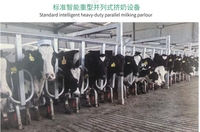 Système d'équipement d'allaitement rotatif pour vaches, carrousel, machine à traire, pour plusieurs vaches, gain de temps