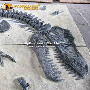 <span class=keywords><strong>Jeu</strong></span> de fouilles sur le thème des dinosaures My <span class=keywords><strong>Dino</strong></span> DS-125 : Panneau de fossile de <span class=keywords><strong>T</strong></span>-<span class=keywords><strong>Rex</strong></span> - Product Image 5