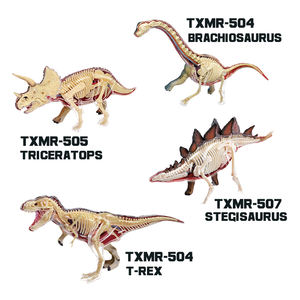 Modelo Educativo de Estructura Ósea Animal Realista Personalizado, Modelo de Anatomía de Órganos Animales, Equipo de Enseñanza de Ciencias Médicas - Product Image 3
