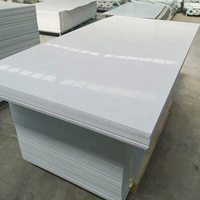 Feuilles de panneau de PVC en plastique de chlorure de polyvinyle résistant aux produits chimiques de haute qualité