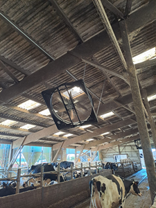 พัดลมระบายอากาศติดผนังสำหรับโรงเรือนปศุสัตว์ ขนาด 72 นิ้ว รุ่น Heavy Duty ปริมาณลมสูง สำหรับควบคุมอุณหภูมิในโรงเรือนโค - Product Image 2