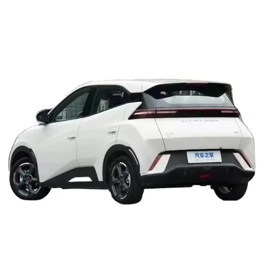 Multi-functional approval New energy electric vehicle 3 wheel car Low speed electric car Adult mini car
